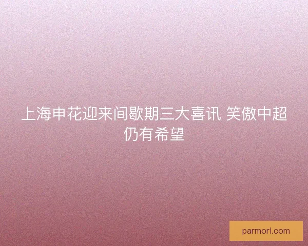 上海申花迎来间歇期三大喜讯 笑傲中超仍有希望